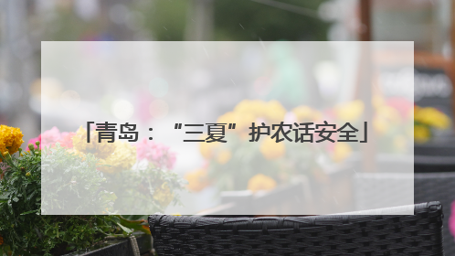 青岛：“三夏”护农话安全